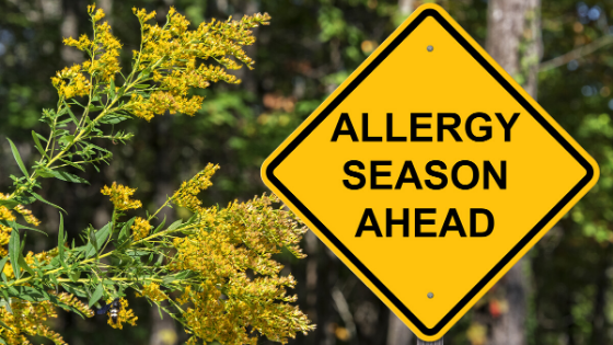 Surviving the Allergy Season