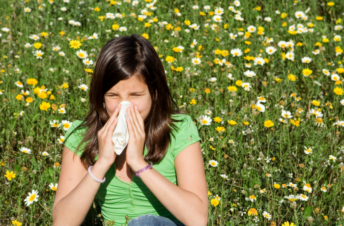 Top tips to survive hay fever season