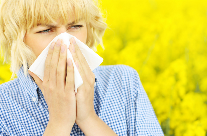 Natural product recommendations for Sneezing Season!